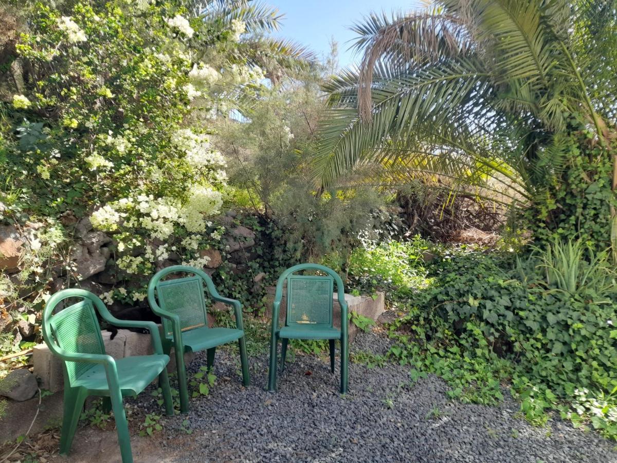 -The Garden - Apartment Las Palmas de Gran Canaria Exterior photo
